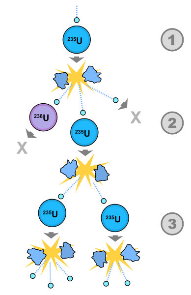  Fisija: 1. Uran 235 absorbira nevtron,  2. Eden od nevtronov se absorbira v atom urana 238 in reakcija se tukaj konča. Drug nevtron se preprosto izgubi in ne nadaljuje reakcije. Eden od nevtronov trči z atomom urana 235, ki se cepi in sprosti  dva nevtrona in nekaj vezne energije.  3. Oba nevtrona trčita z uranom 235, vsak od njih se cepi in sprosti enega do tri nevtrone, ki kasneje nadaljujejo reakcijo. 